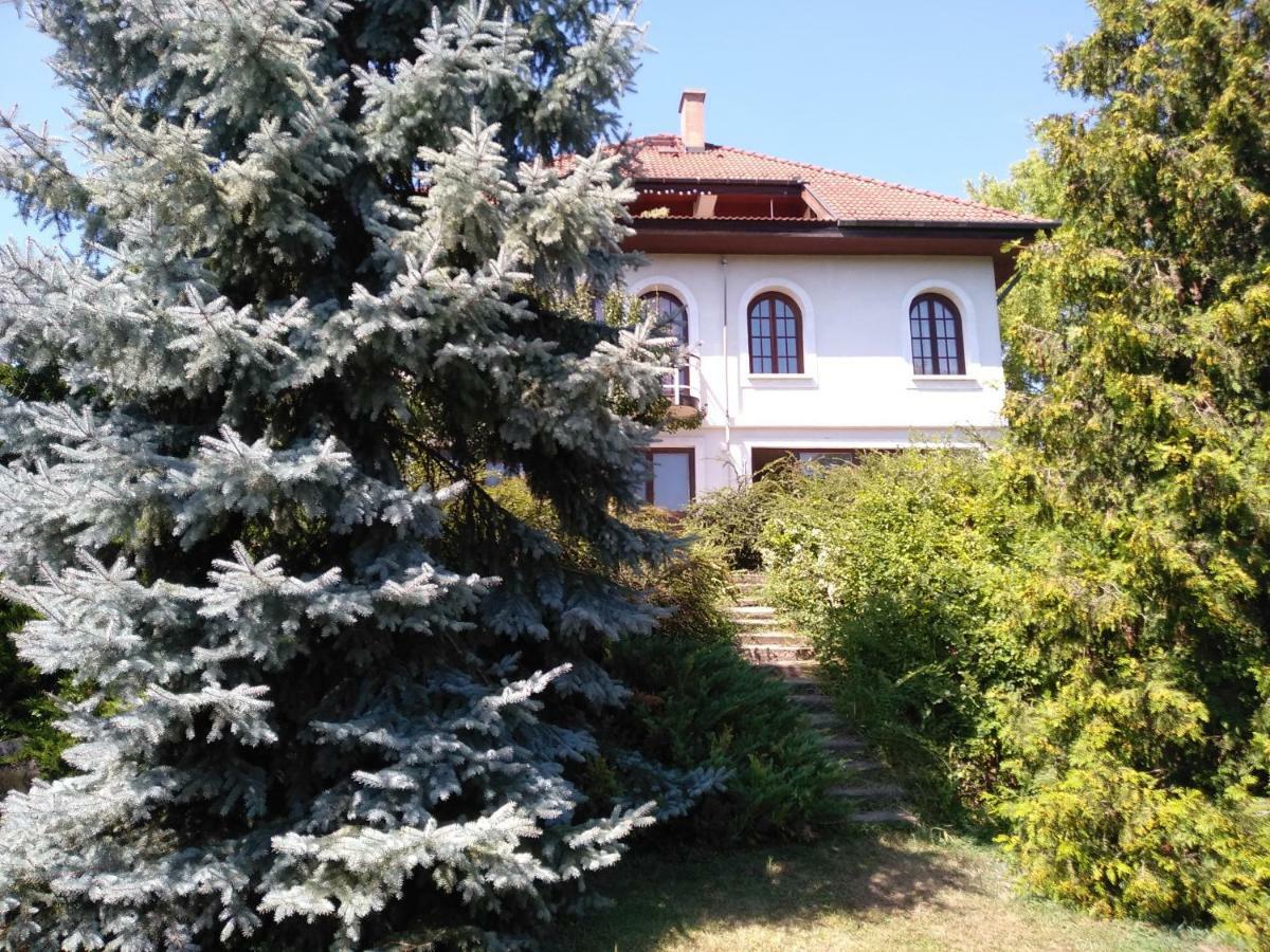 Co-Housing Community Hotel Budakalasz Exterior photo